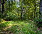 3 Tracts Wilson Hollow Way - Photo 23