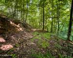 3 Tracts Wilson Hollow Way - Photo 25