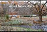 553 Caney Creek Rd - Photo 11