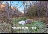 00 Caney Creek Rd - Photo 6
