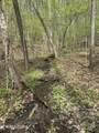 Lot 1 Yarnell Rd - Photo 4