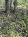 Lot 1 Yarnell Rd - Photo 5