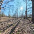  Claysville Road Lot 2 Rd - Photo 4