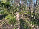 Pine Hollow Rd - Photo 5