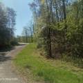  Mountain Rd - Photo 1