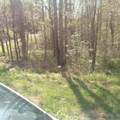  Mountain Rd - Photo 2