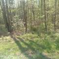  Mountain Rd - Photo 4