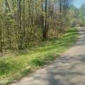  Mountain Rd - Photo 5