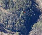 4354 Ball Hollow Rd - Photo 6