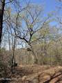  Coon Hollow Rd - Photo 15