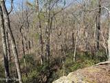  Coon Hollow Rd - Photo 17