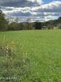0000 Goshen Valley (64 Acres) Rd - Photo 12