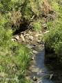 0000 Goshen Valley (64 Acres) Rd - Photo 2