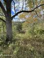 0000 Goshen Valley (64 Acres) Rd - Photo 23