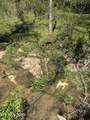0000 Goshen Valley (64 Acres) Rd - Photo 29
