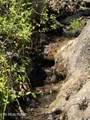 0000 Goshen Valley (64 Acres) Rd - Photo 41
