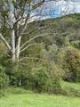 0000 Goshen Valley (64 Acres) Rd - Photo 9