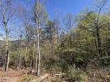 Lot 11 Perry Circle Lane - Photo 5
