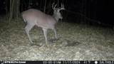 Greever Hollow Rd - Photo 29