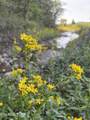 lot 485 Russell Brothers Rd - Photo 5