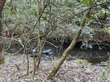 Tract 2 Pine Breeze Drive - Photo 2