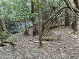 Tract 2 Pine Breeze Drive - Photo 3