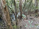 Tract 2 Pine Breeze Drive - Photo 4