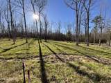 Tract 2 Pine Breeze Drive - Photo 5