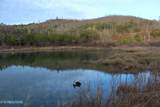  Davis Creek Tract 1 Rd - Photo 11
