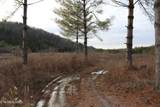  Davis Creek Tract 1 Rd - Photo 13