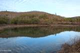  Davis Creek Tract 1 Rd - Photo 16
