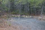  Davis Creek Tract 1 Rd - Photo 3