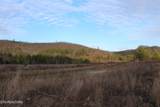  Davis Creek Tract 1 Rd - Photo 9