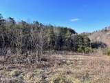 1581 Lower Caney Valley Rd - Photo 13