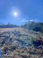 1581 Lower Caney Valley Rd - Photo 2