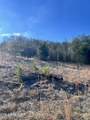 1581 Lower Caney Valley Rd - Photo 3