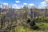 1624 Bartlett Hollow Rd - Photo 3