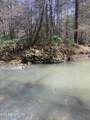 1016 West Flat Rock Rd - Photo 11