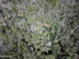 1016 West Flat Rock Rd - Photo 4