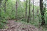 250 Mountain Side Lane - Photo 10