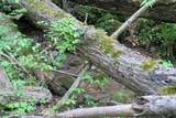 250 Mountain Side Lane - Photo 11
