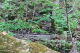 250 Mountain Side Lane - Photo 12