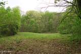 250 Mountain Side Lane - Photo 4