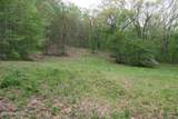 250 Mountain Side Lane - Photo 5