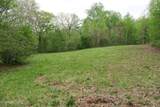 250 Mountain Side Lane - Photo 6