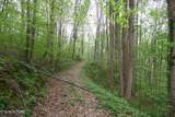 250 Mountain Side Lane - Photo 7