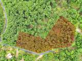 9097 Paradise View Drive - Photo 13