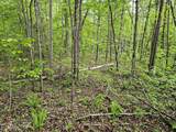 35309 Highland Ridge Tr - Photo 8