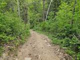35309 Highland Ridge Tr - Photo 9