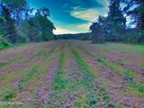 471 Park Rd - Photo 4